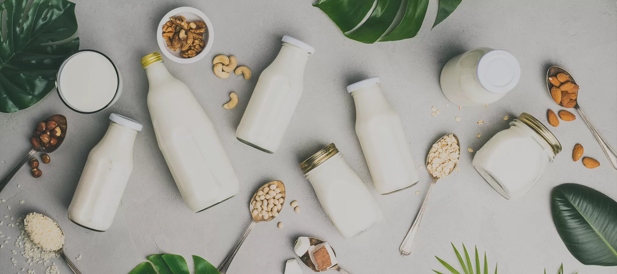 牛乳と乳製品のためのRichen栄養成分